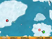 Penguin Clash