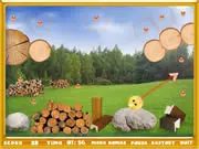 Forest Fidget