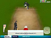 Online Cricket 2011
