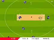 Cricket World Cup 2011