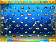 Couple Fishes