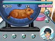Hamster Daycare