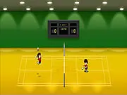 Badminton 3D