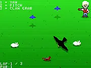 Plimpton's Video Falconry