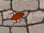 Games for Pets