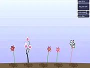 Seed