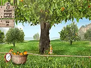 Innocent Orange Harvest