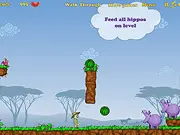 Hippos Feeder