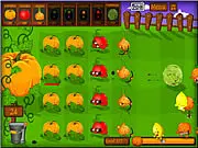 Seedz