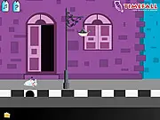 Cats Great Journey