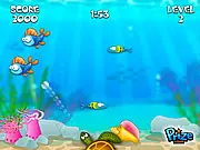Buba Fish