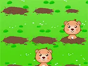 Garden Invasion