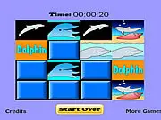 Dolphin Match Game
