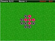 Red Flowers