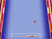 Cricket Clash Pong