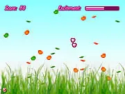 Bubble Flies