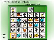 Animal Freedom