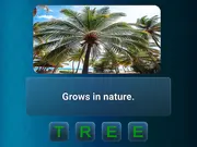 Puzzle Phrase