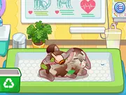 Sara Vet Life Ep 3 Rabbit