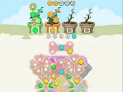Flower Collection