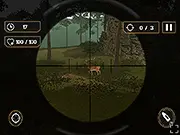 Stag Hunt