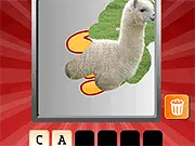 Scratch and Guess Animals