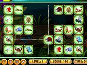 Insects Bumping Match