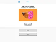 True False Quiz