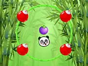 Fruit Rally