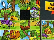 Insect Pic Puzzles