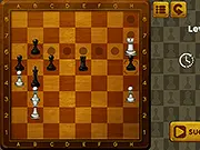 Chess Mate Puzzle