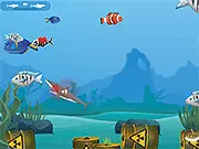 Angry Sharks