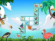 Jolly Jong Birds