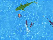 Shark io