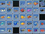 Find the Fish