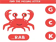 Find the Missing Letter