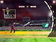 Cricket World Cup