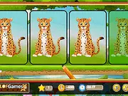 Which is Different Animal