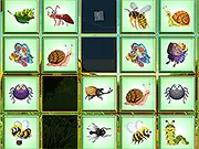 Find the Insect