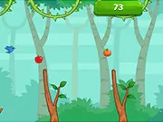 Hungry Birds