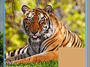 Animals Slide Puzzle