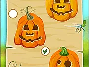 Pumpkin Patch