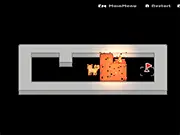 Cat with Blocks