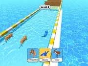 Animal Racing