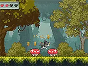 Cute Cat's Adventure