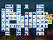 Fish Connections