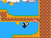 Roll Panda