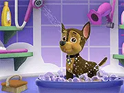 Paw Patrol: Picture PAWfect Dress-Up