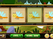Which Insect Looks Different