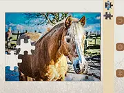 Jigsaw Puzzle: Horses Edition